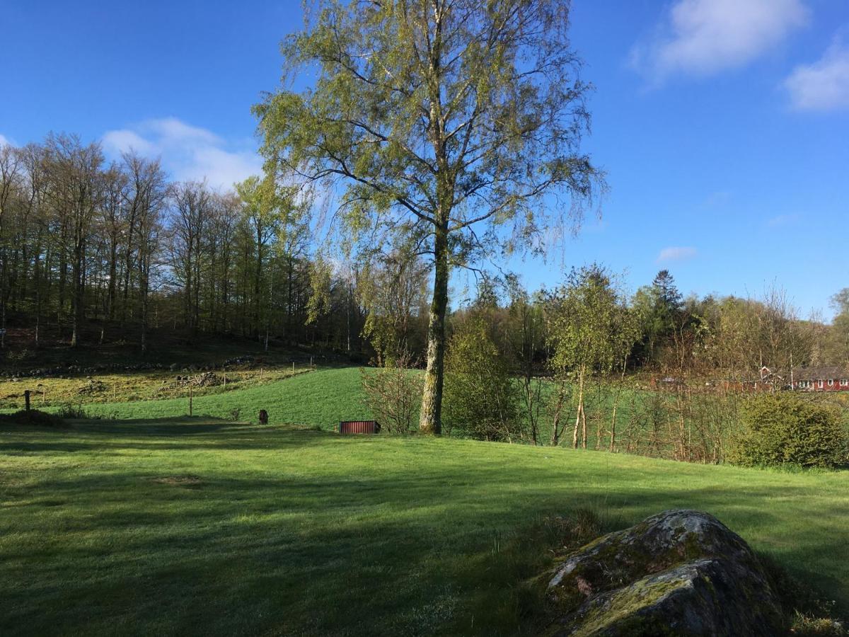Inga-Majs Stuga Tvååker Kültér fotó